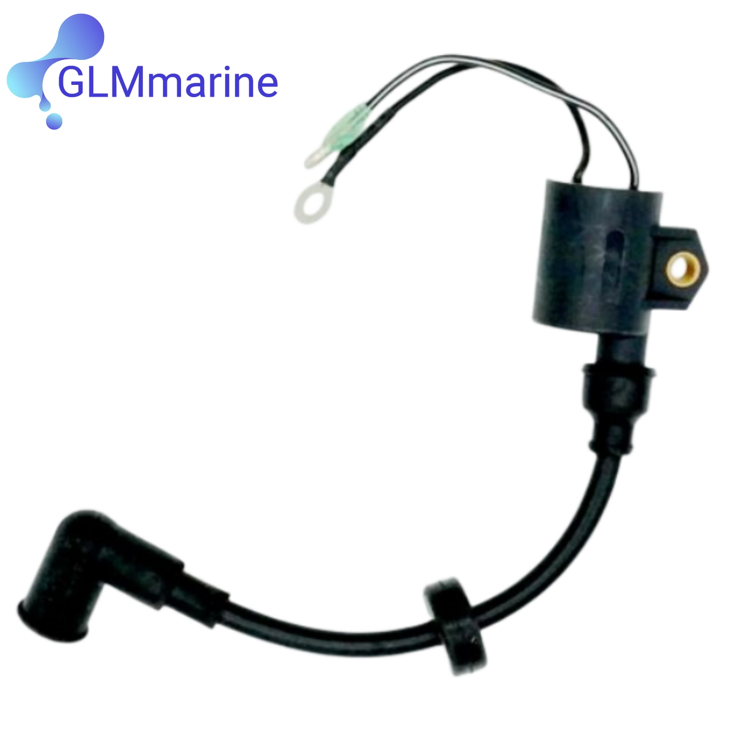 2 Pcs Ignition Coil Assy 61N-8 - Spark Plug recension och pris